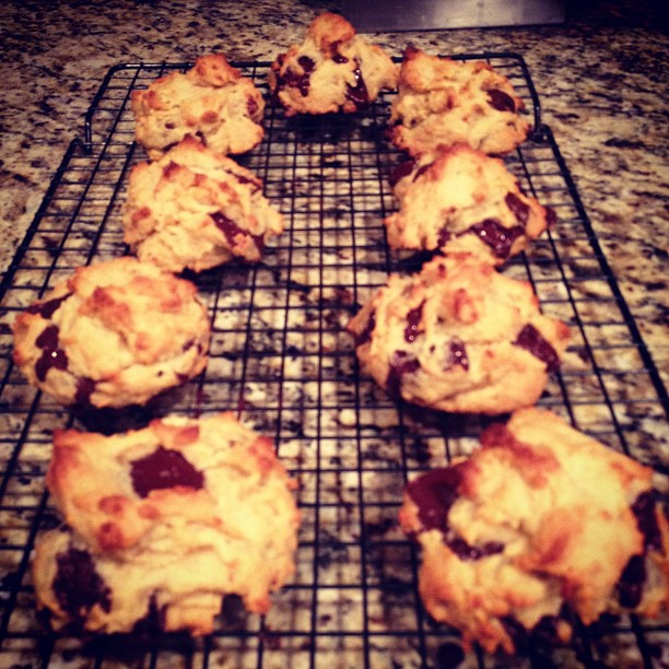 Gluten-free chocolate chip scones