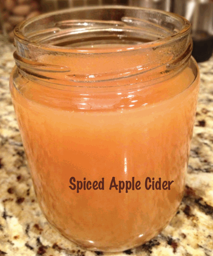 Homemade Spiced Apple Cider