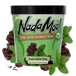 nadamoo_mint_coconut_milk_ice_cream